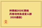 种黄精2020(黄精药用功效及适宜人群  2020最新)