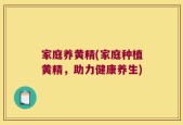 家庭养黄精(家庭种植黄精，助力健康养生)