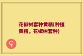 花椒树套种黄精(种植黄精，花椒树套种)
