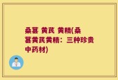 桑葚 黄芪 黄精(桑葚黄芪黄精：三种珍贵中药材)
