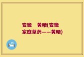 安徽   黄精(安徽家庭草药——黄精)