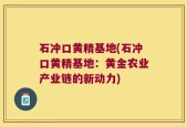 石冲口黄精基地(石冲口黄精基地：黄金农业产业链的新动力)