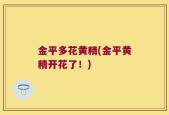金平多花黄精(金平黄精开花了！)