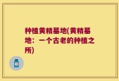 种植黄精墓地(黄精墓地：一个古老的种植之所)