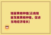 瑞丽黄精种植(云南瑞丽发展黄精种植，促进当地经济增长)