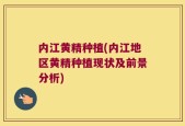 内江黄精种植(内江地区黄精种植现状及前景分析)