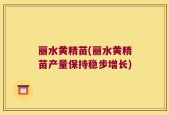 丽水黄精苗(丽水黄精苗产量保持稳步增长)