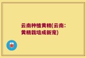云南种植黄精(云南：黄精栽培成新宠)