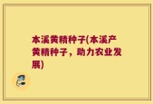 本溪黄精种子(本溪产黄精种子，助力农业发展)