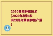 2020黄精种植技术(2020年新技术：有效提高黄精种植产量)