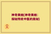 神奇黄精(神奇黄精：探秘传统中医的奥秘)