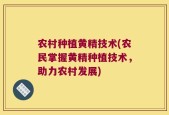 农村种植黄精技术(农民掌握黄精种植技术，助力农村发展)
