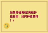 如果种植黄精(黄精种植指南：如何种植黄精？)