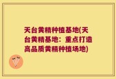 天台黄精种植基地(天台黄精基地：重点打造高品质黄精种植场地)