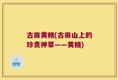 古田黄精(古田山上的珍贵神草——黄精)