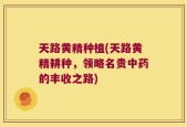 天路黄精种植(天路黄精耕种，领略名贵中药的丰收之路)