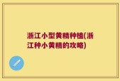 浙江小型黄精种植(浙江种小黄精的攻略)