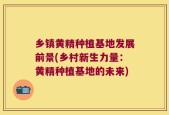 乡镇黄精种植基地发展前景(乡村新生力量：黄精种植基地的未来)