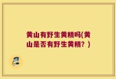 黄山有野生黄精吗(黄山是否有野生黄精？)