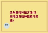 沧州黄精种植方法(沧州地区黄精种植技巧简述)