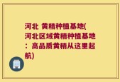 河北 黄精种植基地(河北区域黄精种植基地：高品质黄精从这里起航)