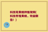 科技苑黄精种植视频(科技养殖黄精，效益翻倍！)