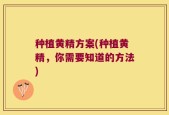 种植黄精方案(种植黄精，你需要知道的方法)