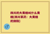 四川的大黄精叫什么黄精(四川草药：大黄精的别称)