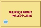 晒北黄精(北黄精晒出，神奇功效令人惊叹)