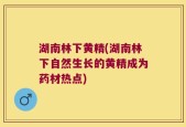 湖南林下黄精(湖南林下自然生长的黄精成为药材热点)
