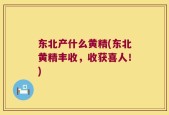东北产什么黄精(东北黄精丰收，收获喜人！)