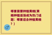 哪里需要种植黄精(黄精种植逐渐成为热门话题：哪里适合种植黄精？)