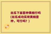 丝瓜下面套种黄精行吗(丝瓜成功实现黄精套种，可行吗？)