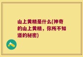 山上黄精是什么(神奇的山上黄精，你所不知道的秘密)