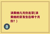 滇黄精几月份出芽(滇黄精的芽发生在哪个月份？)