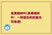 臭黄精树叶(臭黄精树叶：一种潜在的抗菌功效来源)