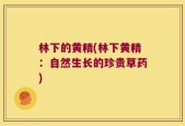林下的黄精(林下黄精：自然生长的珍贵草药)