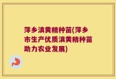萍乡滇黄精种苗(萍乡市生产优质滇黄精种苗助力农业发展)