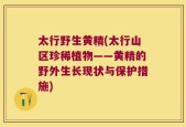 太行野生黄精(太行山区珍稀植物——黄精的野外生长现状与保护措施)