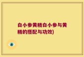 白小参黄精白小参与黄精的搭配与功效)