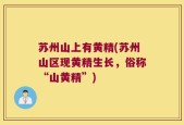苏州山上有黄精(苏州山区现黄精生长，俗称“山黄精”)