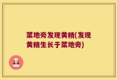 菜地旁发现黄精(发现黄精生长于菜地旁)