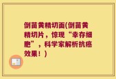 倒苗黄精切面(倒苗黄精切片，惊现“幸存细胞”，科学家解析抗癌效果！)