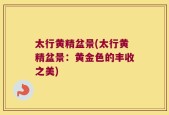 太行黄精盆景(太行黄精盆景：黄金色的丰收之美)