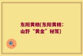 东阳黄精(东阳黄精：山野“黄金”秘笈)