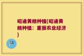 昭通黄精种植(昭通黄精种植：重振农业经济)