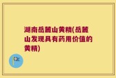 湖南岳麓山黄精(岳麓山发现具有药用价值的黄精)