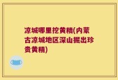 凉城哪里挖黄精(内蒙古凉城地区深山掘出珍贵黄精)