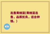 出售黄精苗(黄精苗出售，品质优良，适合种植。)
