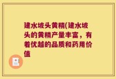 建水坡头黄精(建水坡头的黄精产量丰富，有着优越的品质和药用价值